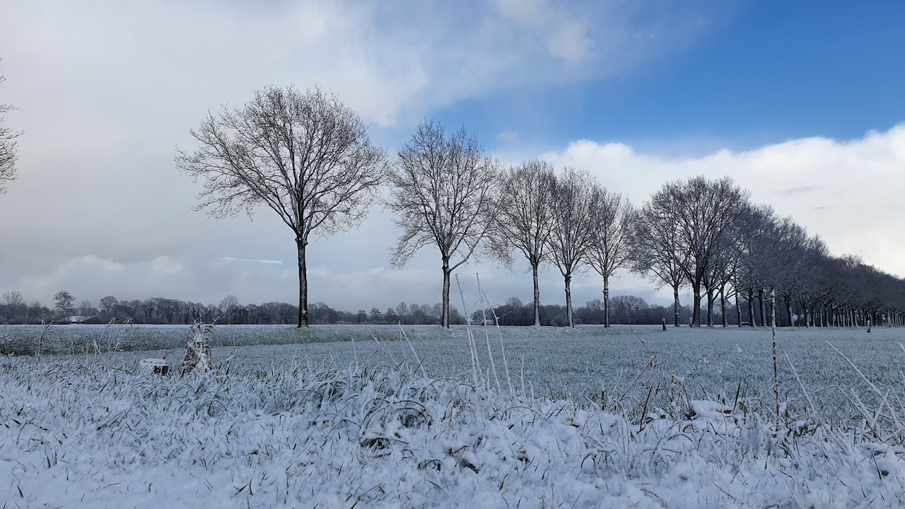 In 2021 kwam het in april ook tot een sneeuwdek. Foto: M Teggeler