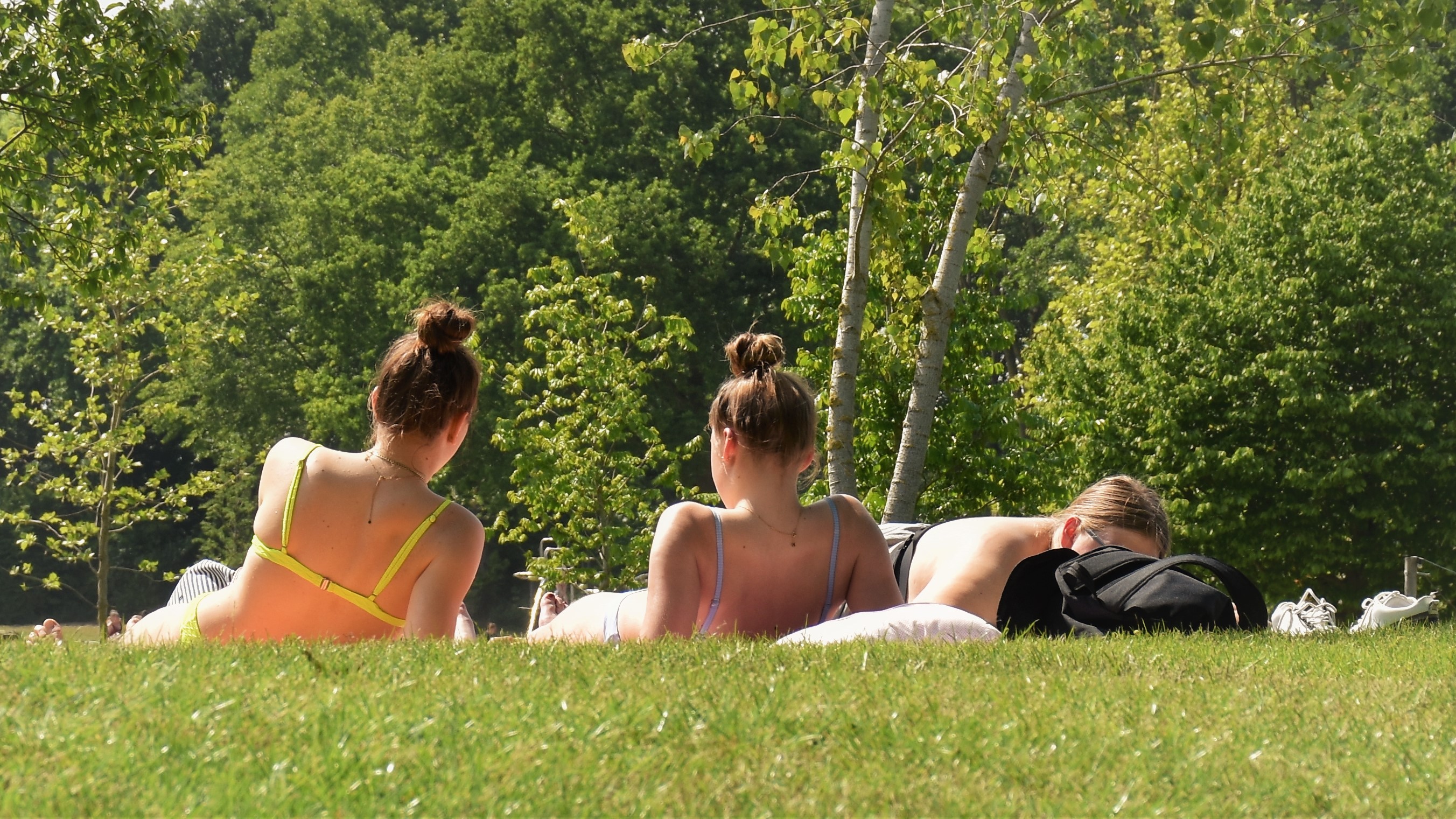 Genieten in het park van een zomerse dag. Foto: Cynthia van Leusden