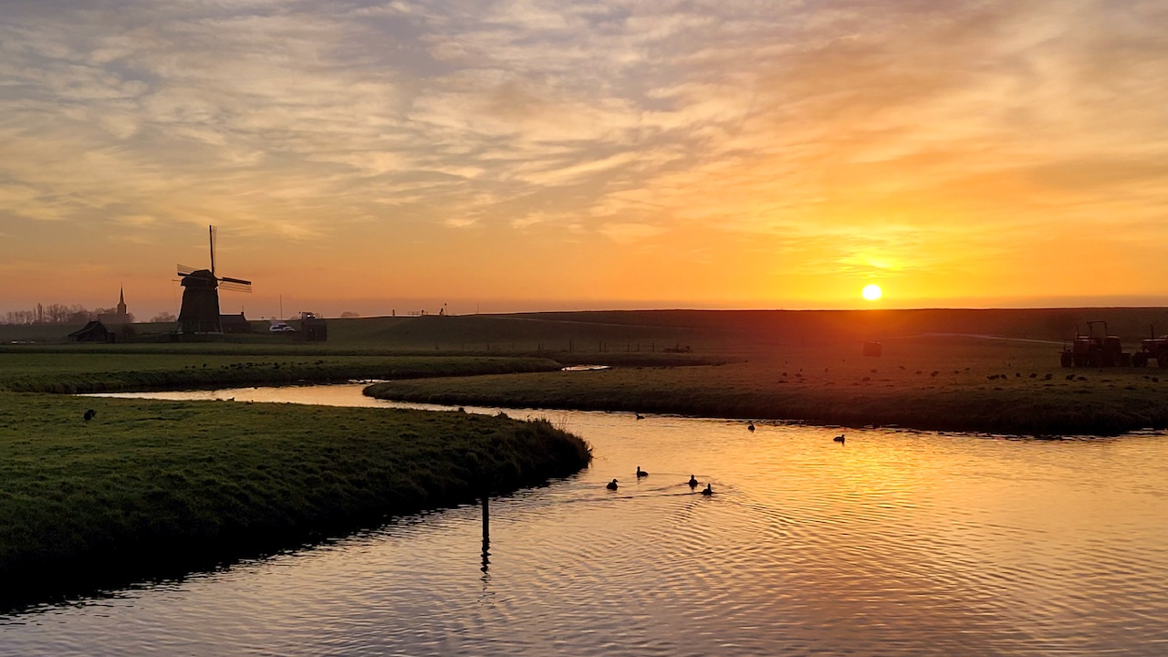 Eindelijk weer zon. Foto: Joke Nijenhuis. 