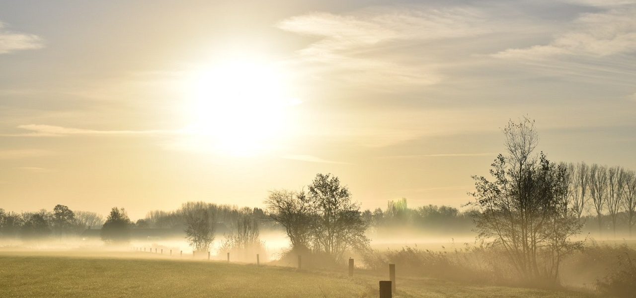 Klimaatverandering: november is 1,3 graden opgewarmd
