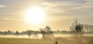 Klimaatverandering: november is 1,3 graden opgewarmd