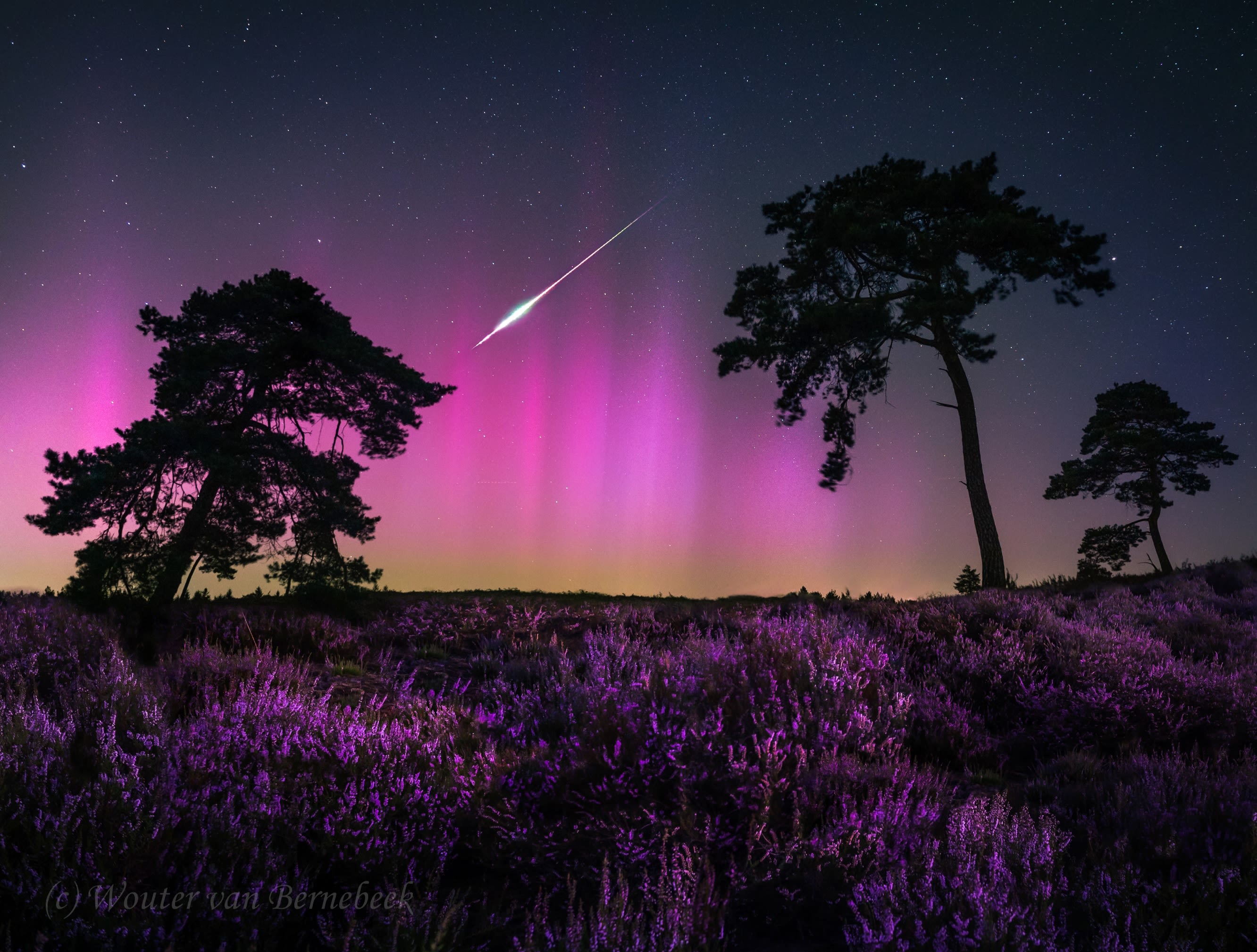 In augustus 2024 was tijdens de Perseïden ook het noorderlicht te zien. Dit leverde bijzondere plaatjes op, zoals hier in Milsbeek. Foto: Wouter van Bernebeek.