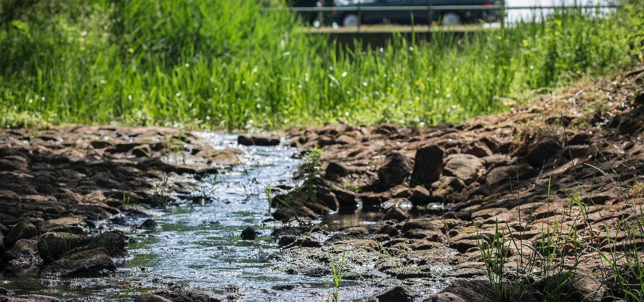 droogte-buien-regen-ANP-1280x600
