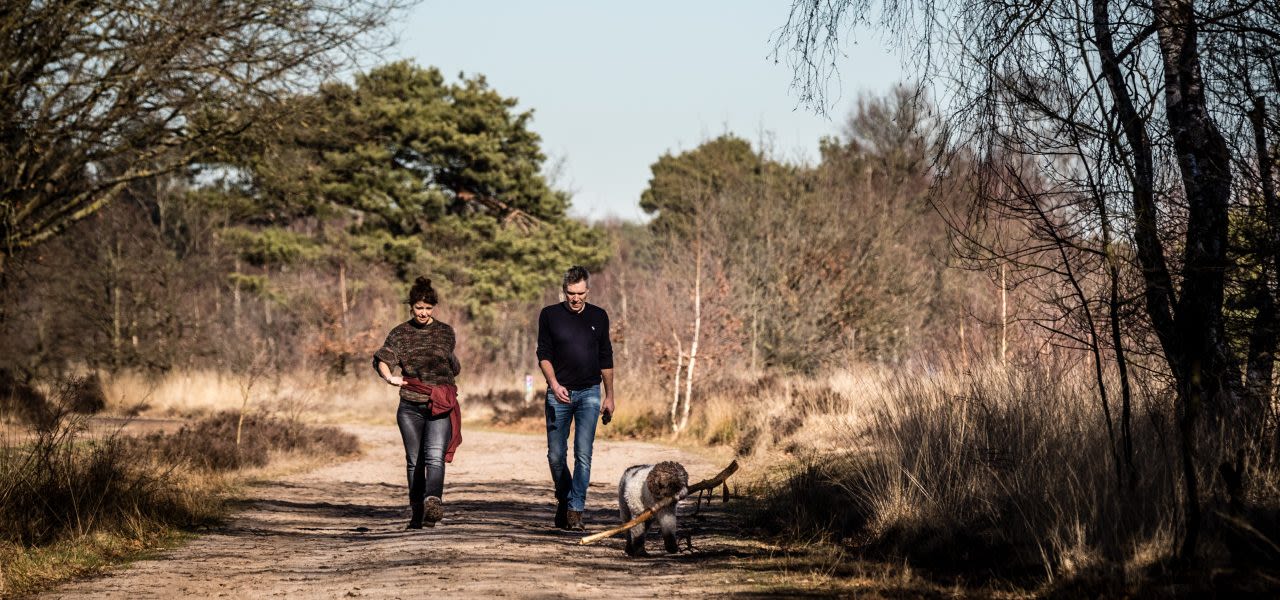 De-natuur-in-op-een-zonnige-winterdag-februari-2019-e1550327253116-1280x600