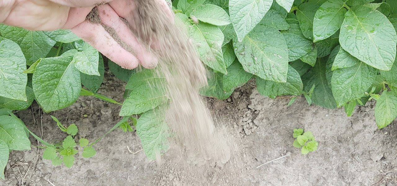 Droogte-in-Groningen-duurt-voort-Jannes-Wiersema-1280x600