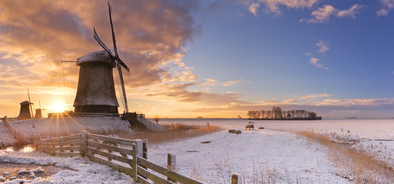 Zo bijzonder is sneeuw in november