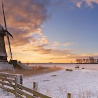 Zo bijzonder is sneeuw in november