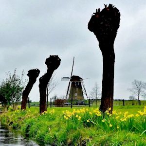 Dit weer is normaal in februari