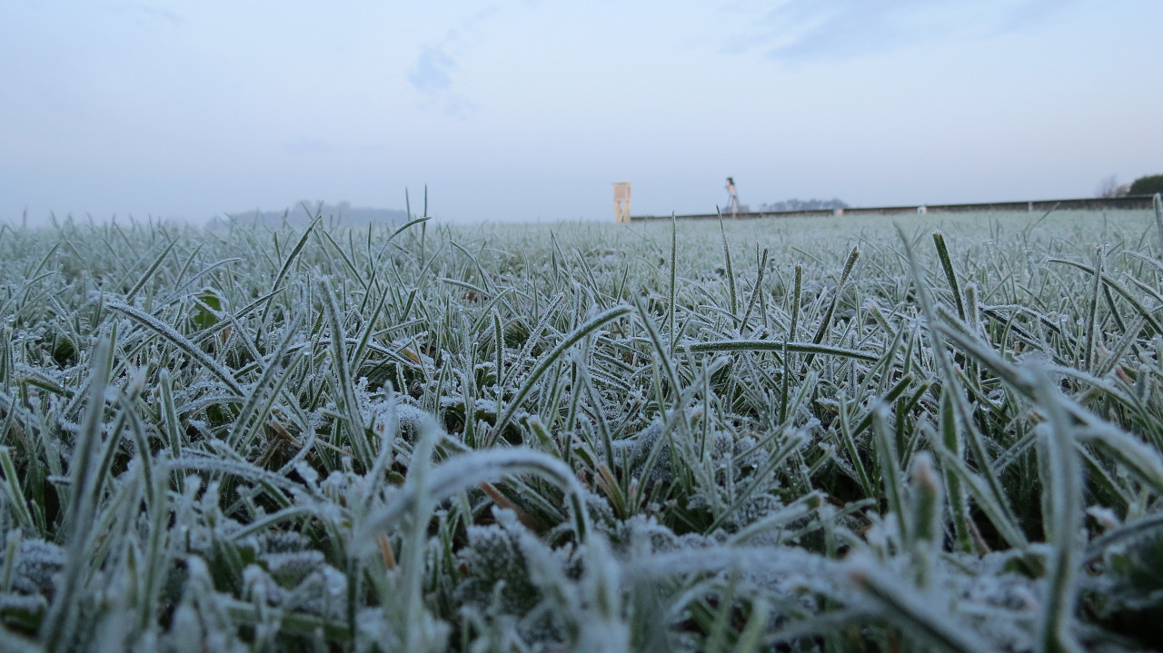 Vorst op het gras in november