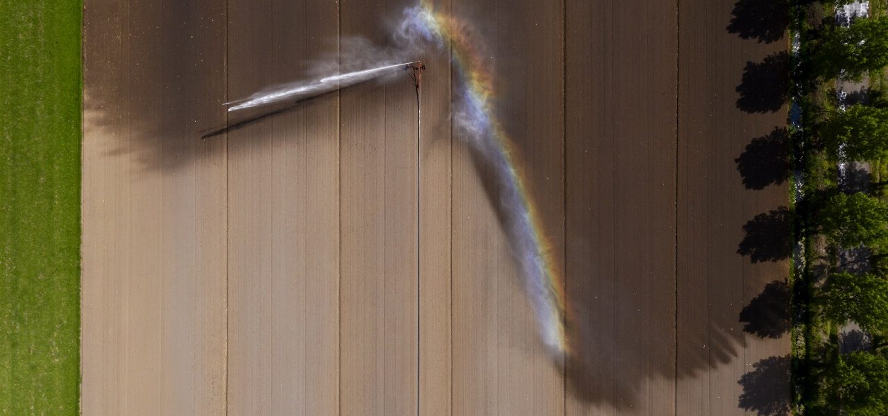 droogtemei2020-1280x600