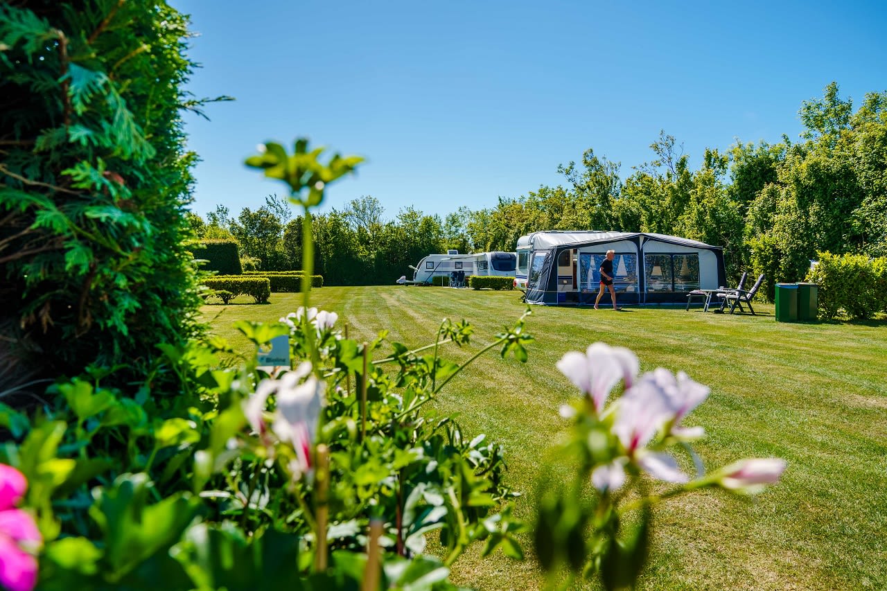camping