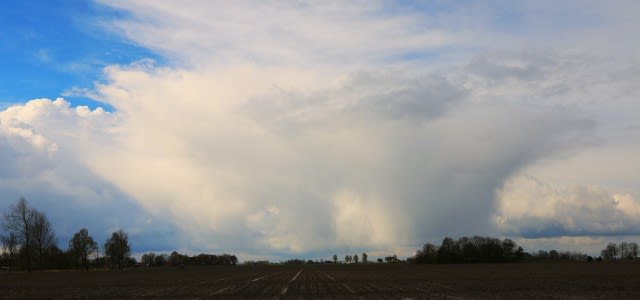 bui-e1475567676805-640x300