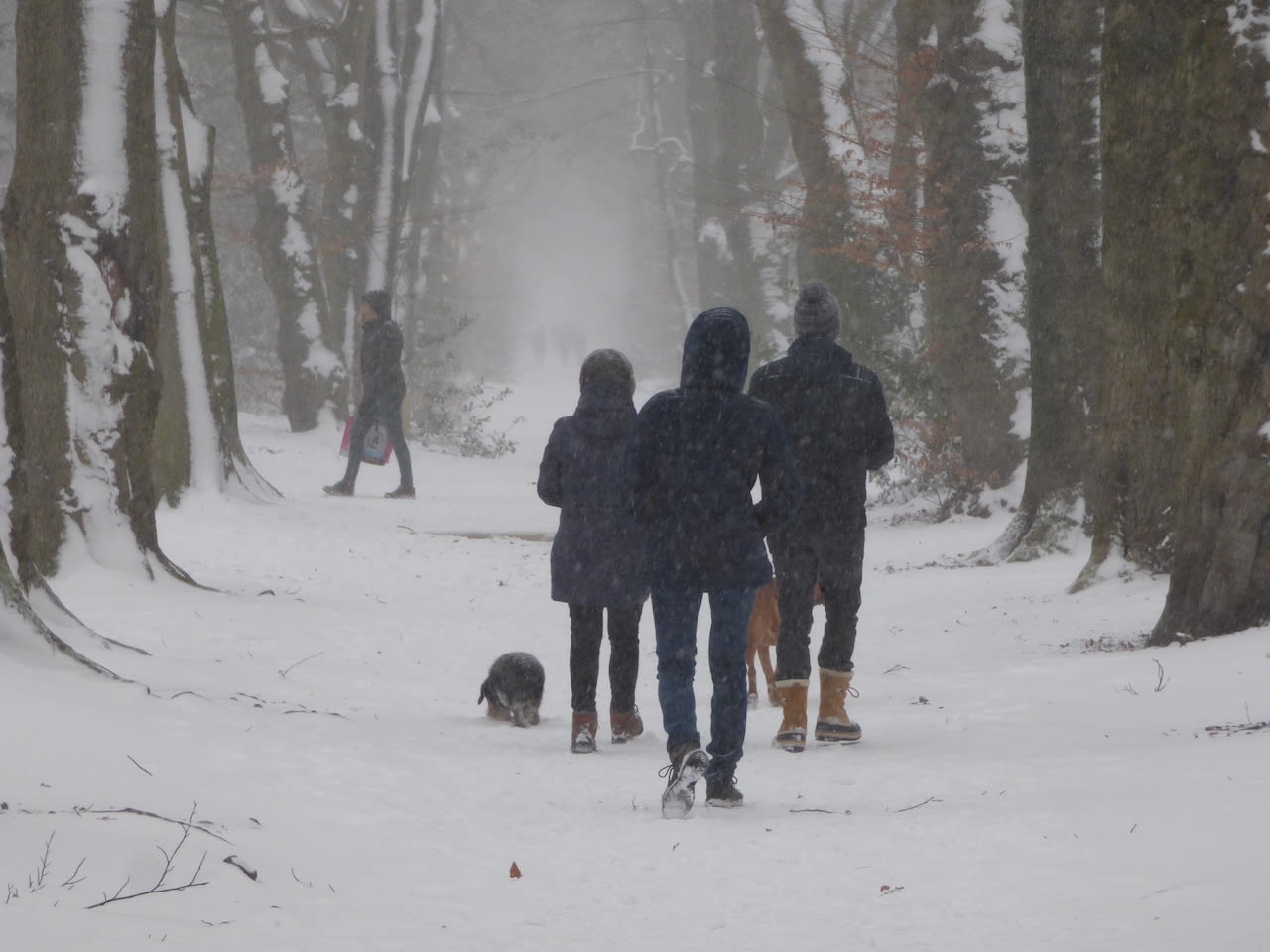 Wandelen in een besneeuw landschap in Heerlen. Foto: Chris Meeuwis
