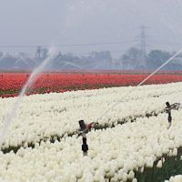 Dit is de invloed van La Niña op het weer in Nederland