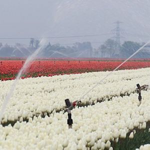 Dit is de invloed van La Niña op het weer in Nederland