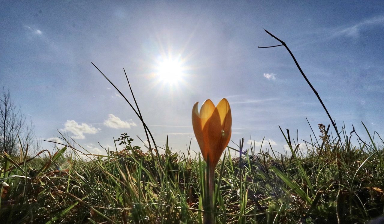 Lenteachtig weer tijdens voorjaarsvakantie. Foto: Jolanda Bakker