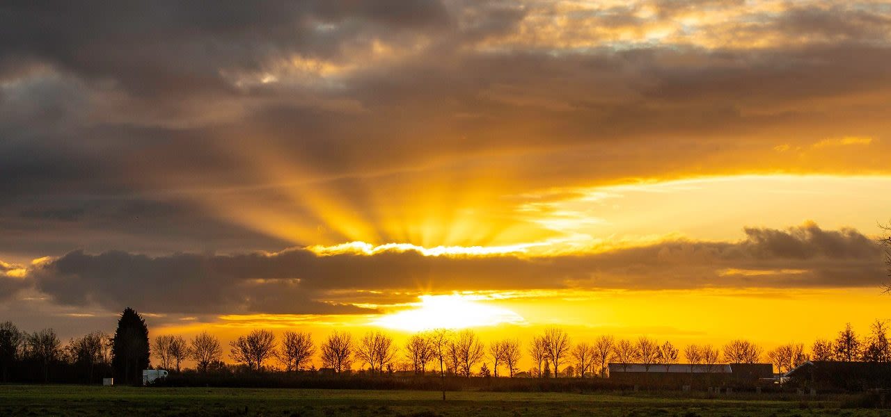 Laagstaande zon en zacht weer in november. Foto: Ab Donker