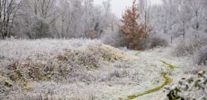 Nachtopvang voor daklozen nu winterkou in aantocht is