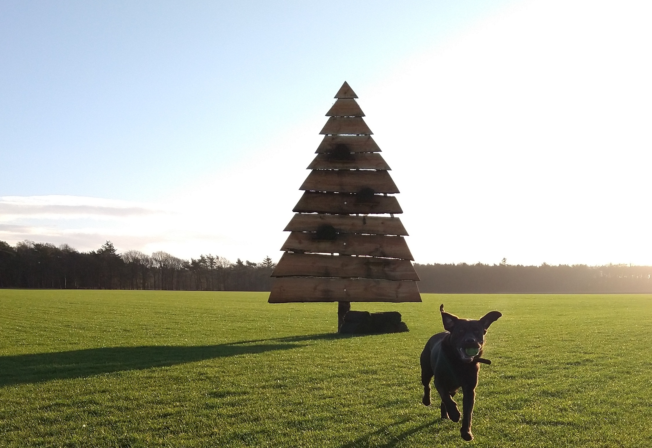 Wat is de warmste en zonnigste kerst?