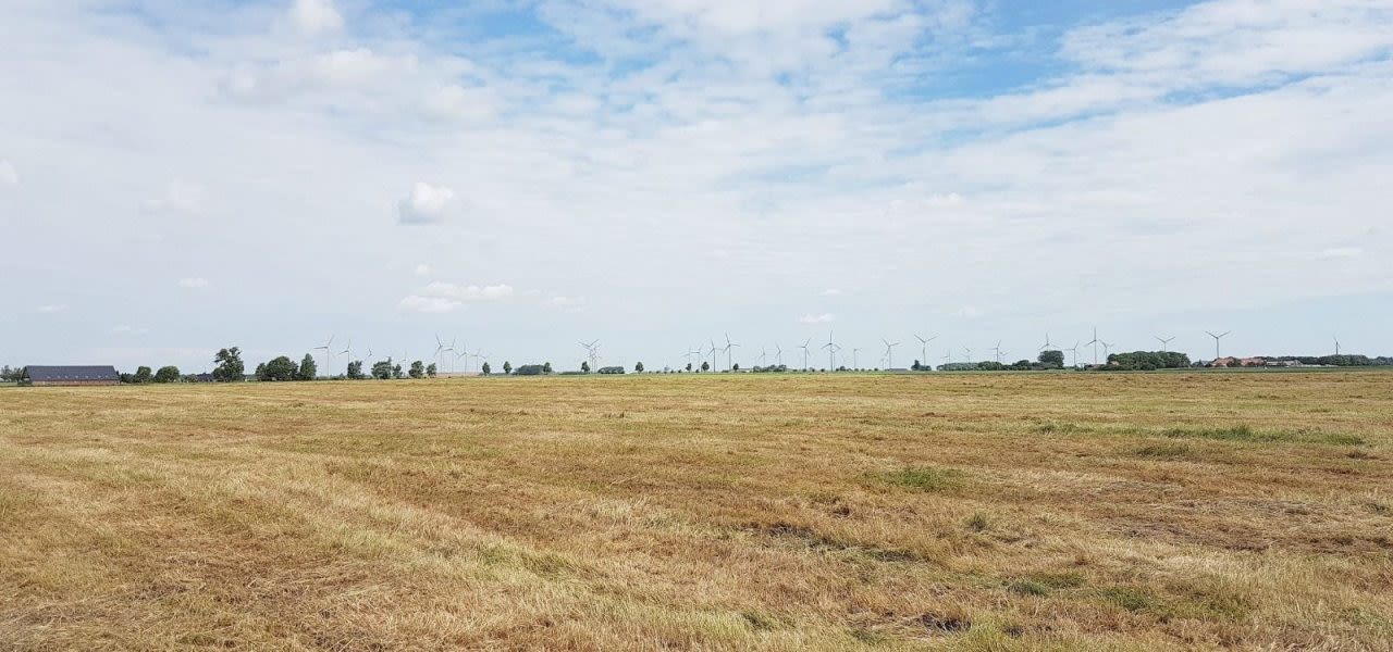 Droogte-in-Groningen-1280x600