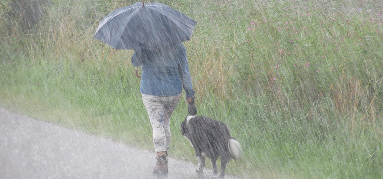Lopen in de regen. Foto: Jannes-Wiersema