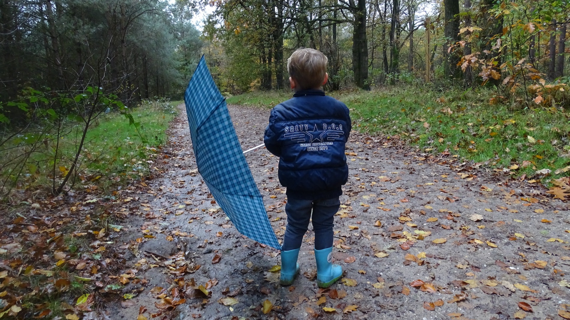 Regen in de herfst. Foto: Corry van Dalen