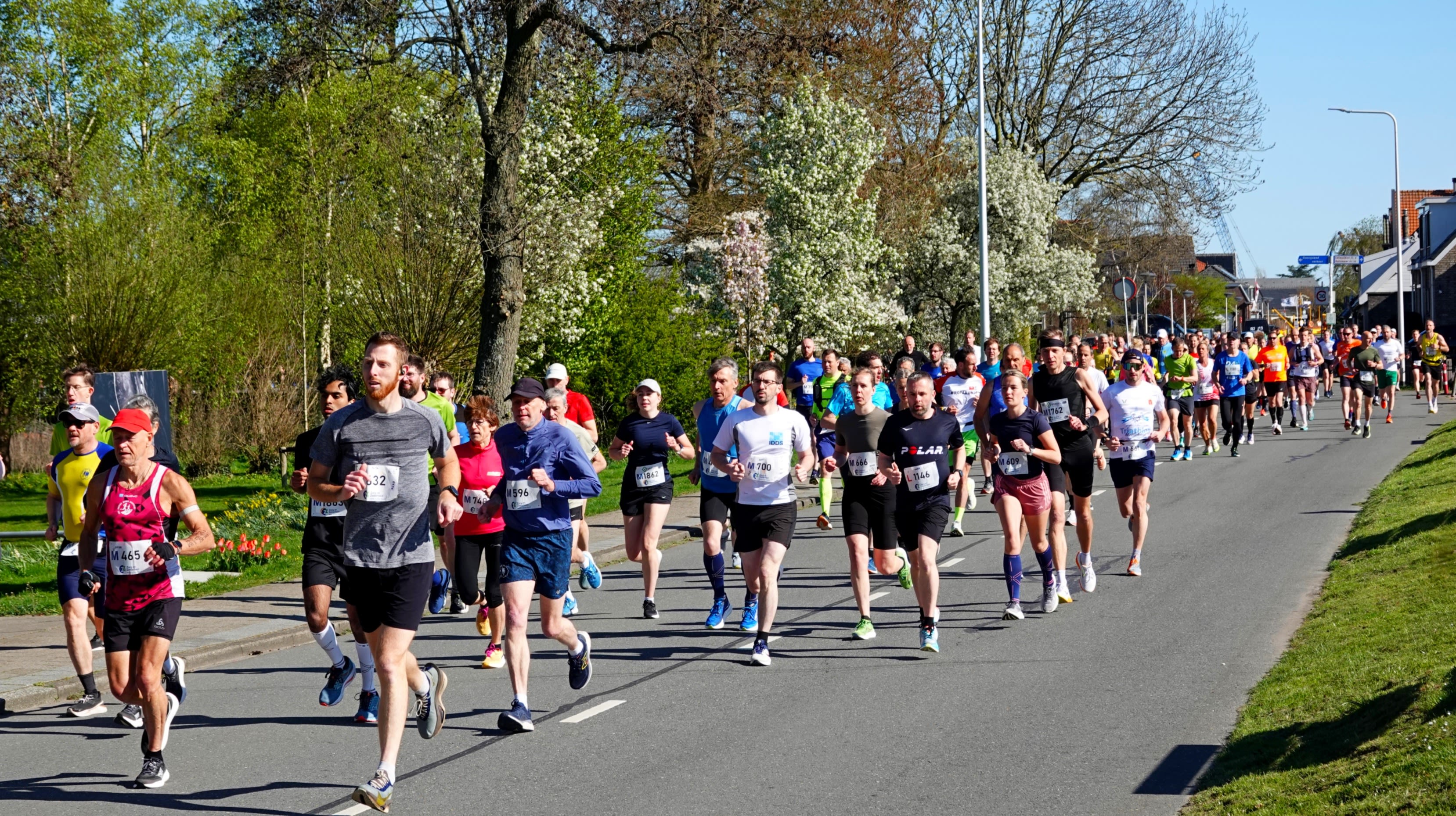 Zonnig hardloopweer. Foto: Ton Wesselius