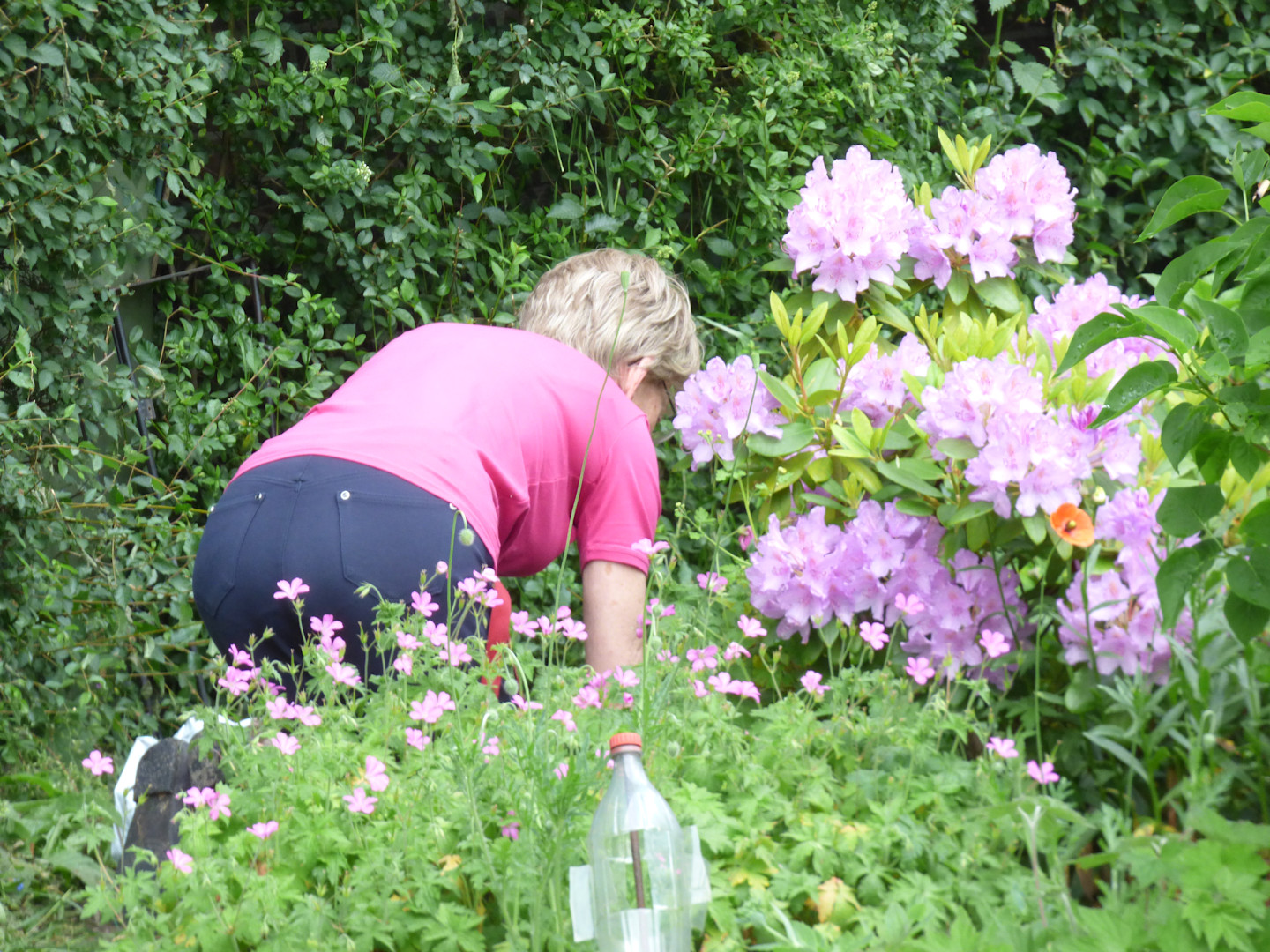 In mei werken in de tuin. Foto: Chris Meewis