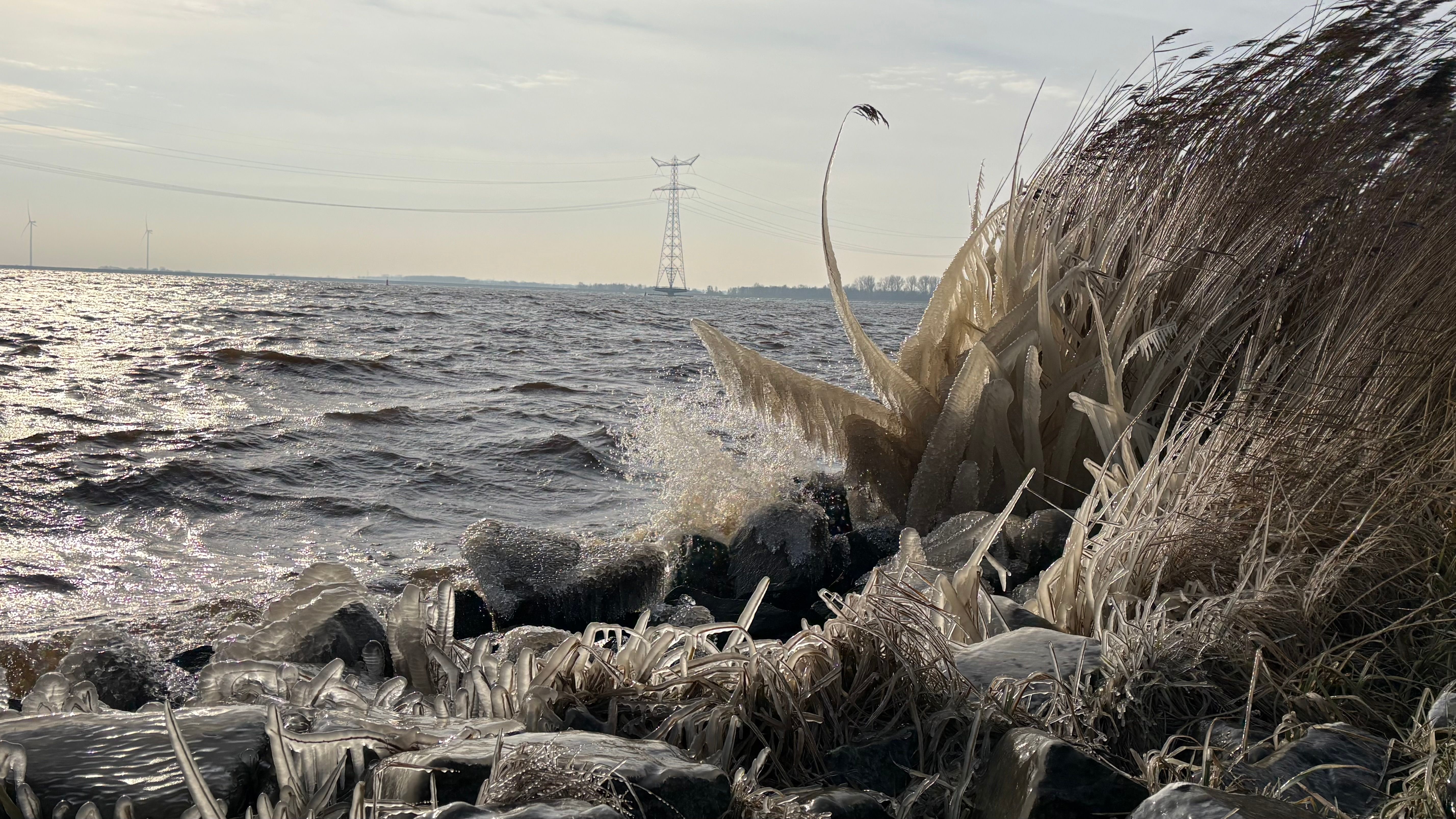 IJssculpturen in het riet in de Noordoostpolder, langs het Ketelmeer. Foto: Sonja van den Toorn.