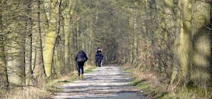 Weekverwachting: van koud naar zacht en weer terug?