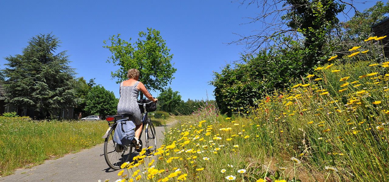 Juni-was-record-heet-zeer-zonnig-en-nat-Ben-Saanen-1280x600