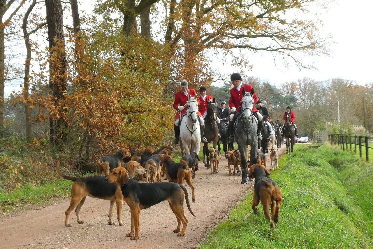 Vanaf donderdag wordt het prima weer voor buitenactiviteiten. Foto: Willy Bonnink-Naves