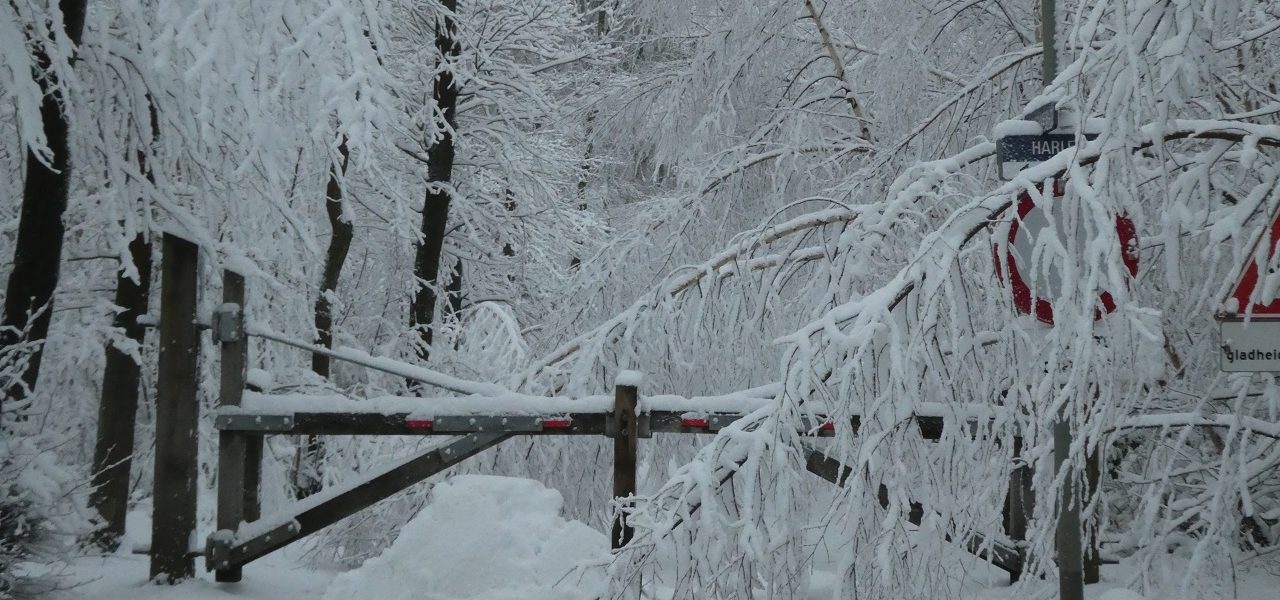 Weekend weer: flink pak sneeuw en ijzig koud!