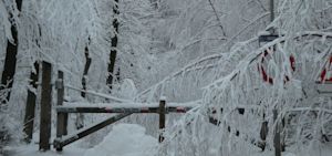 Weekend weer: flink pak sneeuw en ijzig koud!
