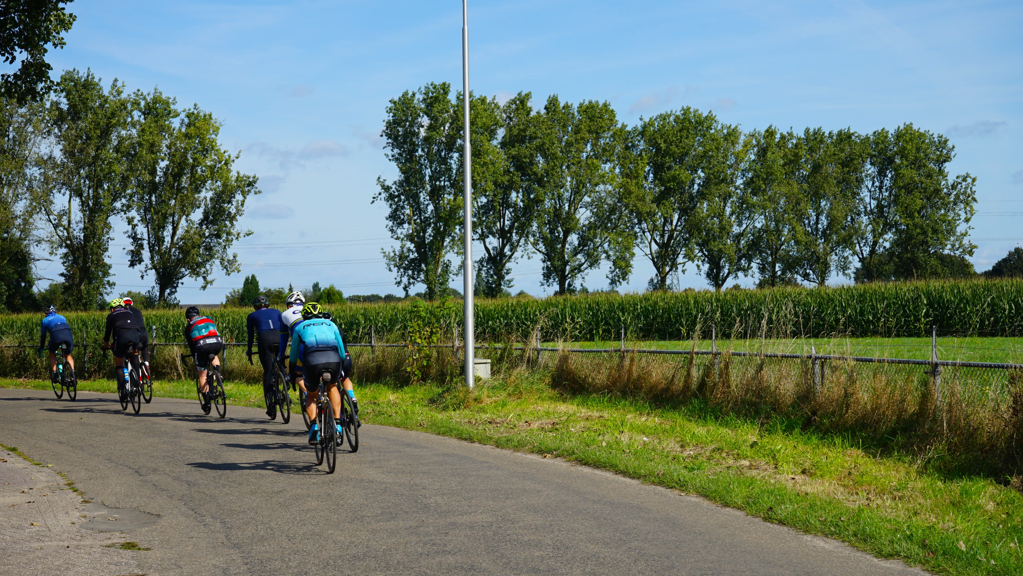 Het wordt vanaf woensdag zonnig en warm. Wel staat er een matige noordoosten- tot oostenwind. Foto: Toon Boons