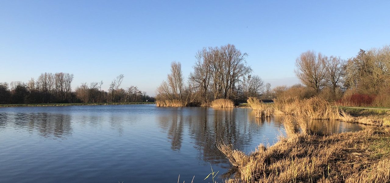 Deze dag is het zonnigst in de week
