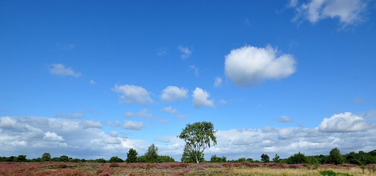 weerfoto060919-1280x600