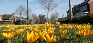 Weer een record: warmste 24 februari in De Bilt