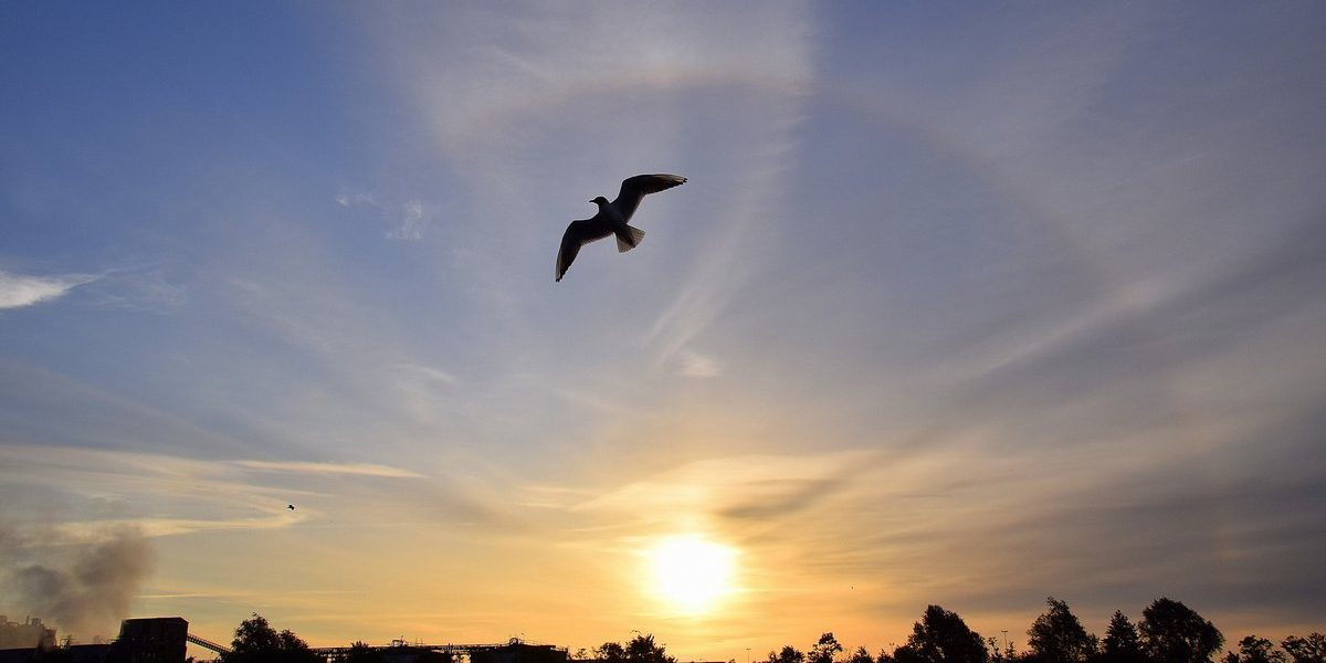 Kring om de zon, foto: Ben Saanen