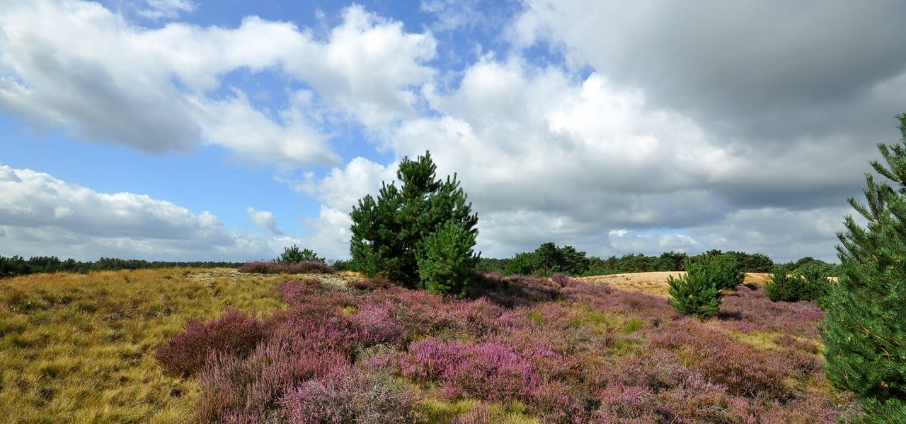 10f6751d-weerfotobs-1280x600
