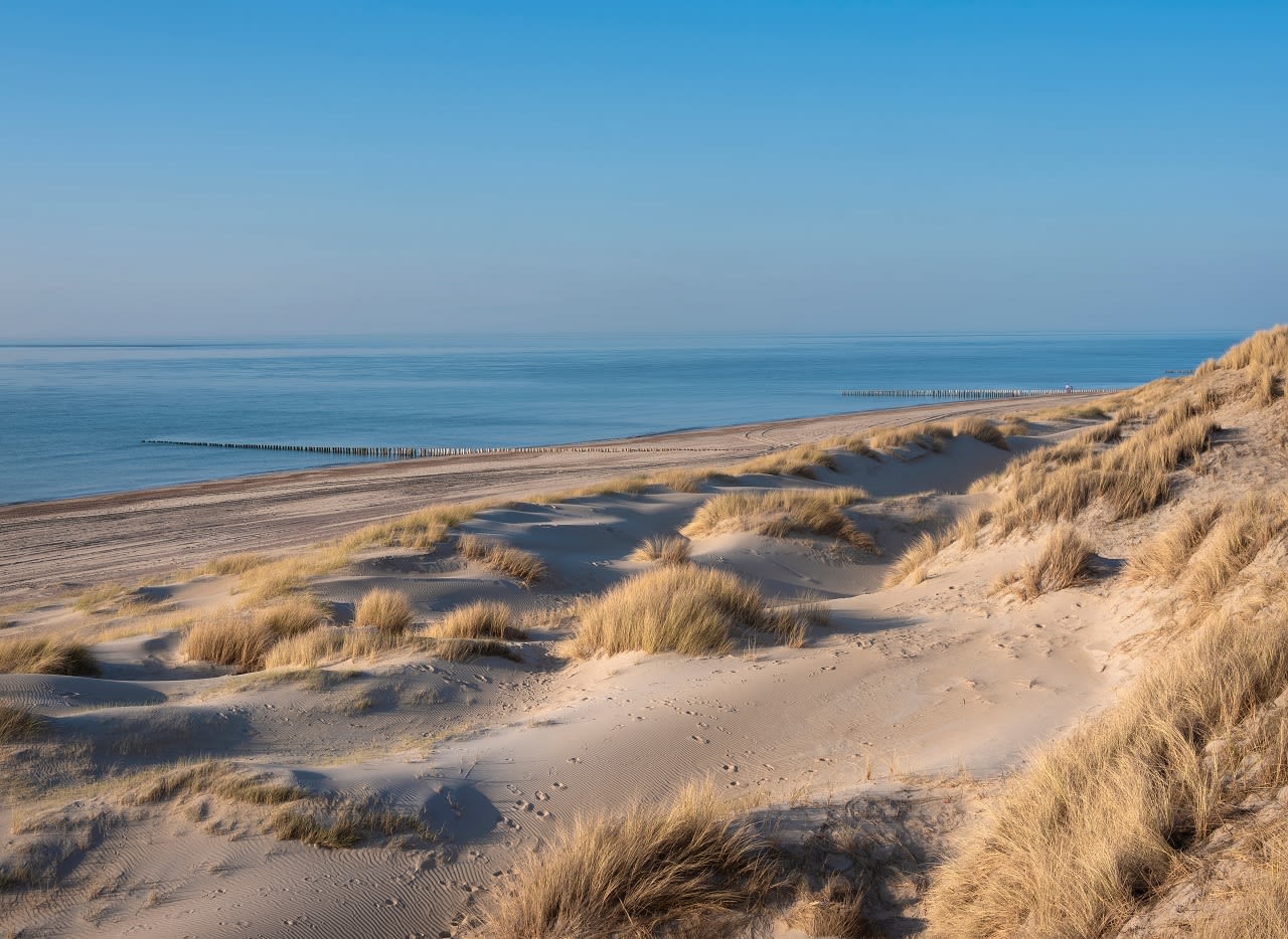 Strand in de buurt van Renesse op Schouwen Duiveland. Foto: Adobe Stock / ahavelaar