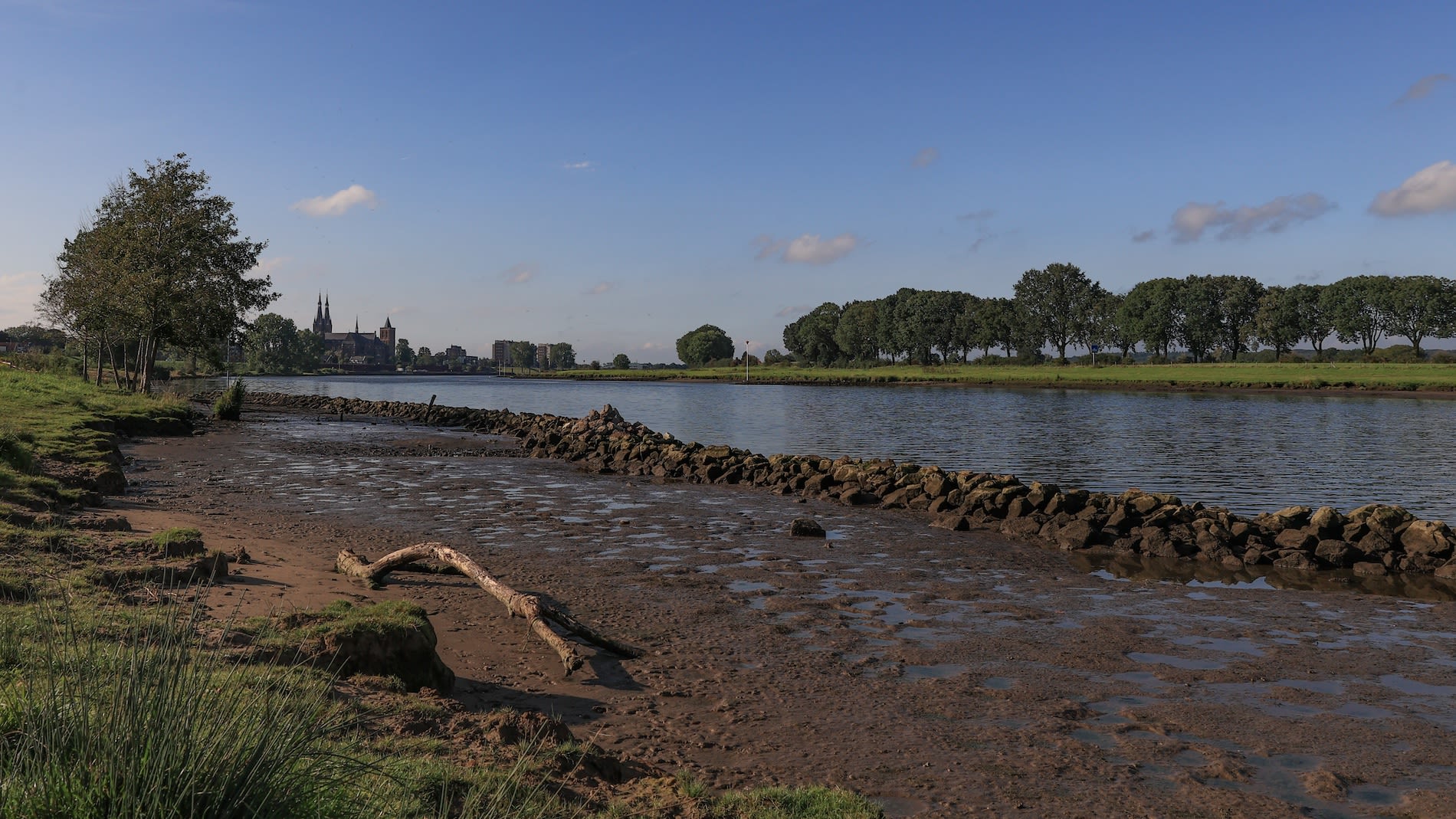 Laagwater in de Maas bij Cuijk, 1 september 2020. Foto: Henk Straatman