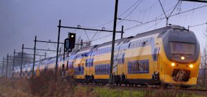 Waarom veroorzaken vallende bladeren vertragingen op het spoor?
