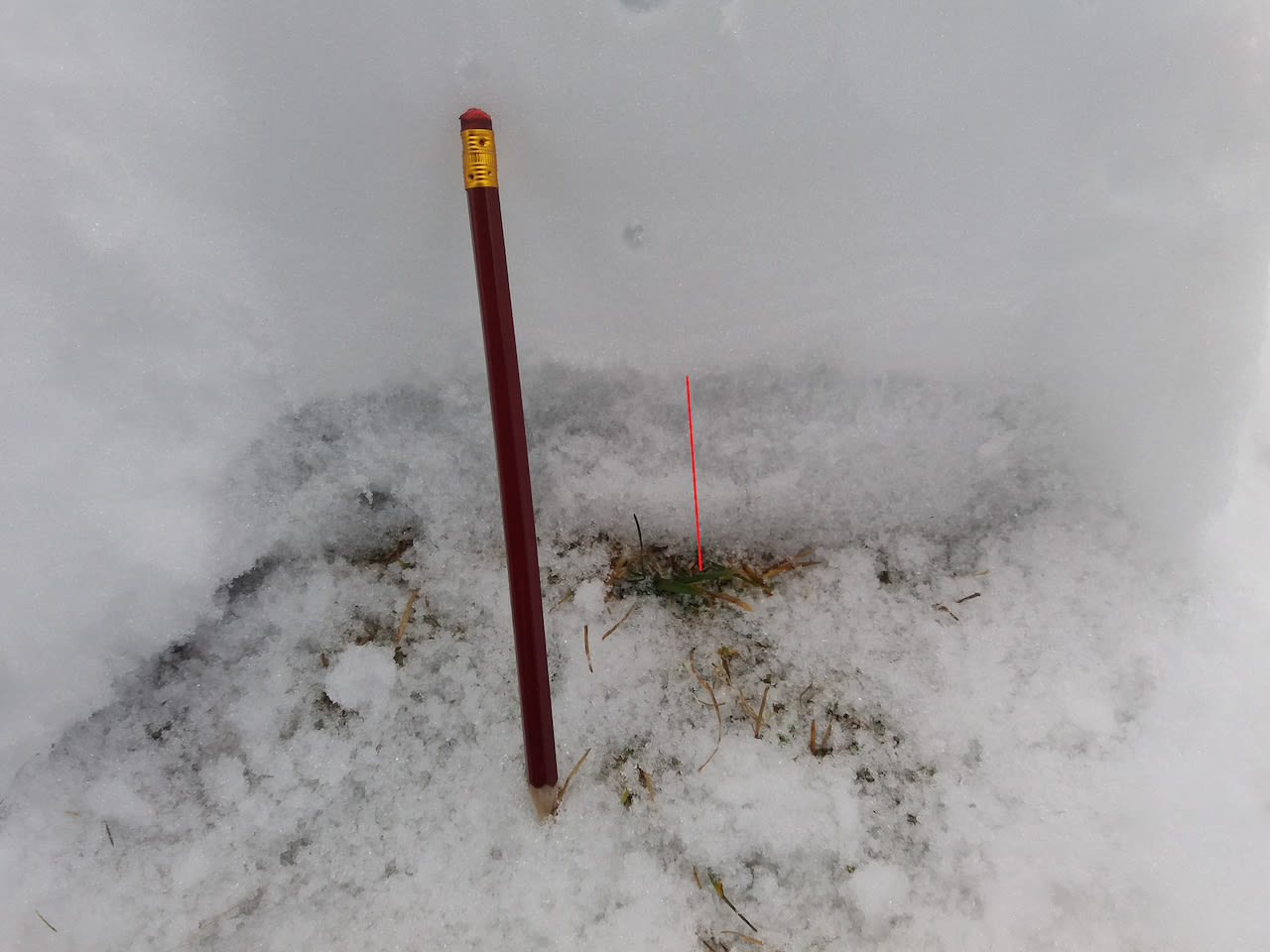 In dit sneeuwprofiel is de zwakke laag bij de bodem goed te zien (rode lijn) en dat de sneeuw daarboven steviger is. Dit sneeuwprofiel is gemaakt op de Nordkette (Innsbrück) in de relatief sneeuwarme winter van 2017 waarin deze zwakke lagen een groot deel van de winter van invloed waren op het lawinegevaar. Foto: Maarten Minkman