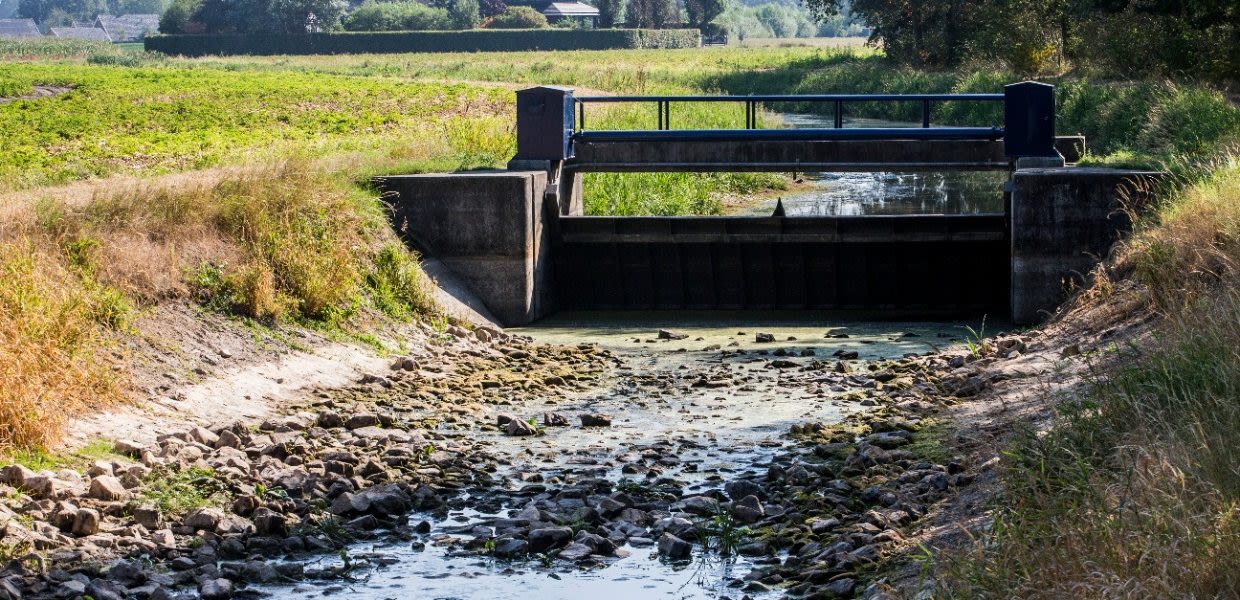 ANP-375931209-1-1240x600