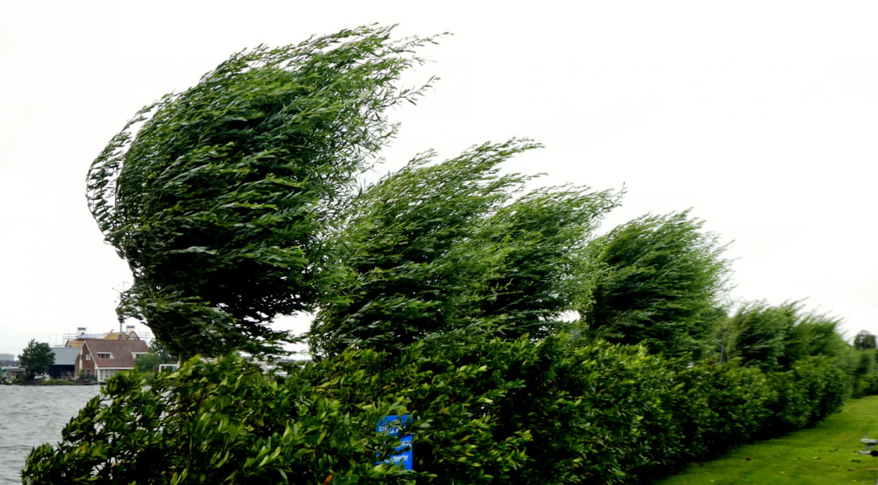 Veel wind in de zomer. Foto: Ton Wesselius
