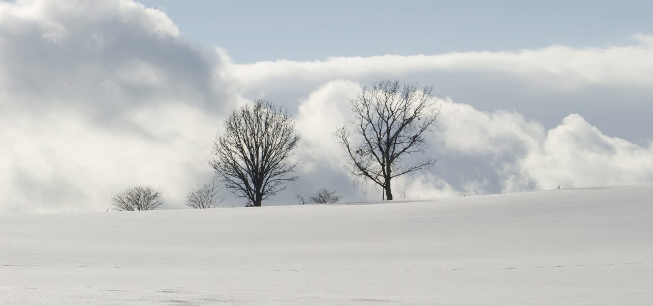 ANP-335333460-Japan-lawine-1280x600