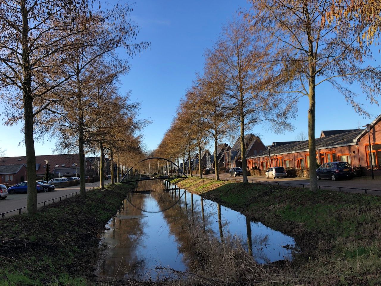 2b00aced-20201225_elzen-vol-in-bloei-ederveen-arnold-van-vliet-1