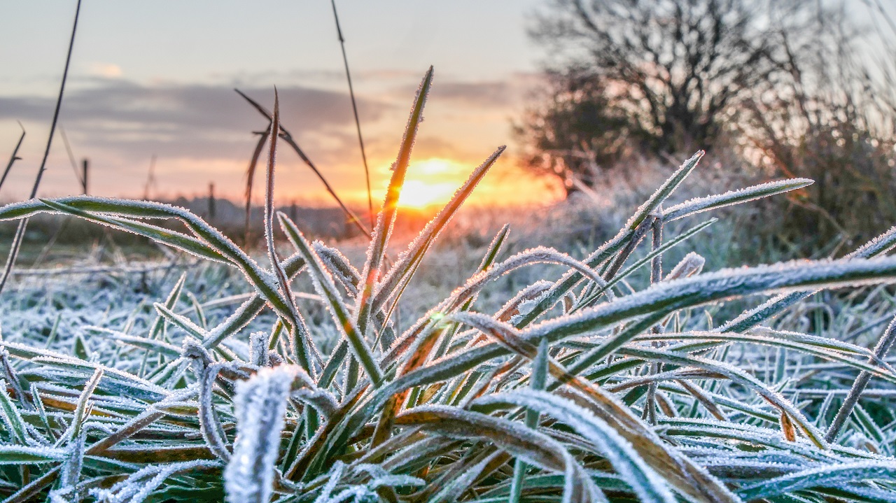 Het heeft weer gevroren. Foto: Jos Hebben
