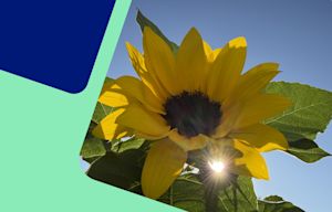 Energieweerbericht: zeer warm en zonnig